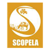 Scopela